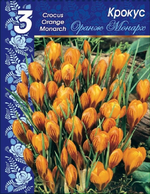 Крокус Оливьери Оранж монарх 1 уп. (3 шт.) 